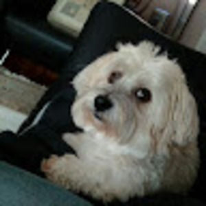 Meet your Posher, Chuck